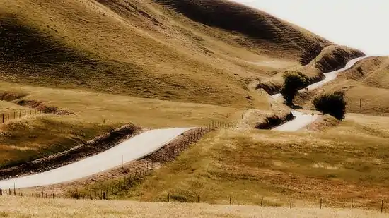 A Wrangler's Road Trip